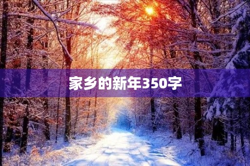 家乡的新年350字