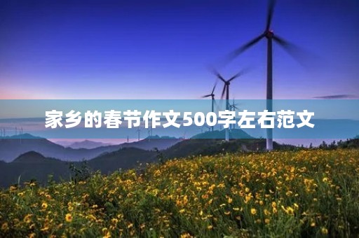家乡的春节作文500字左右范文
