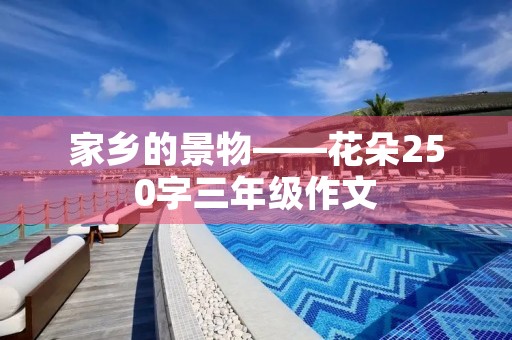 家乡的景物——花朵250字三年级作文