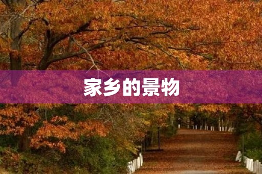 家乡的景物 家乡的景物