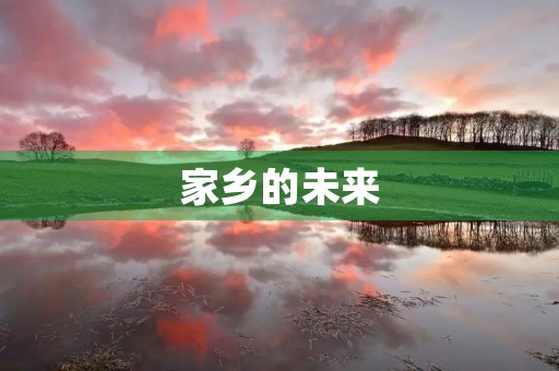 家乡的未来 家乡的未来
