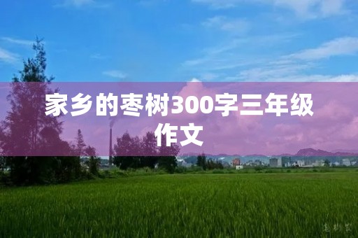 家乡的枣树300字三年级作文