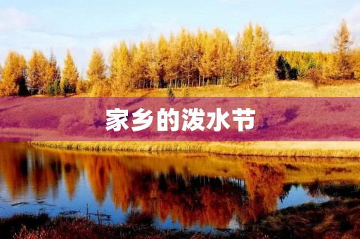家乡的泼水节 家乡的泼水节