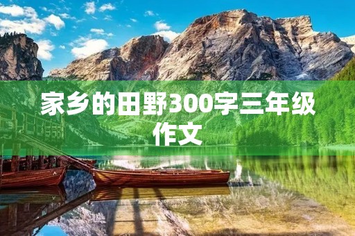 家乡的田野300字三年级作文