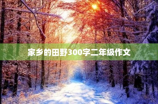 家乡的田野300字二年级作文 家乡的田野300字二年级作文