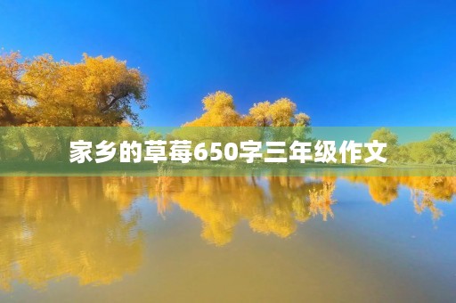 家乡的草莓650字三年级作文