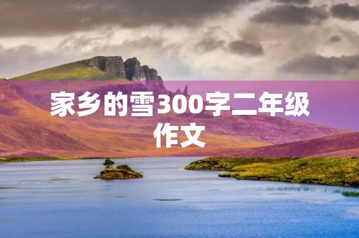 家乡的雪300字二年级作文