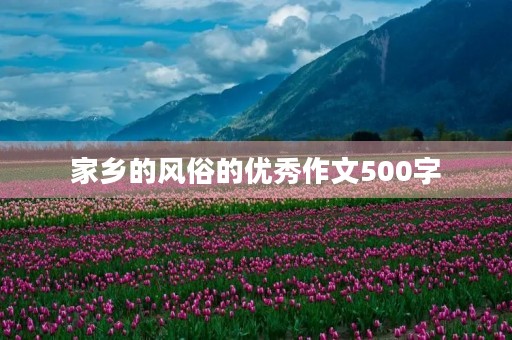 家乡的风俗的优秀作文500字 家乡的风俗的优秀作文500字