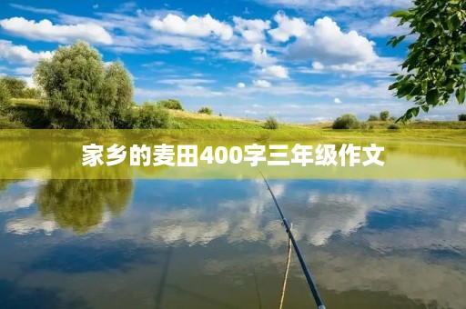家乡的麦田400字三年级作文