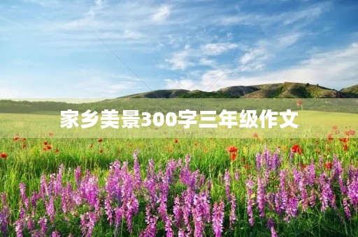 家乡美景300字三年级作文