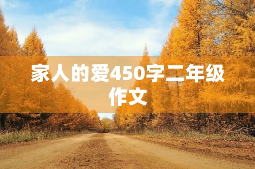 家人的爱450字二年级作文