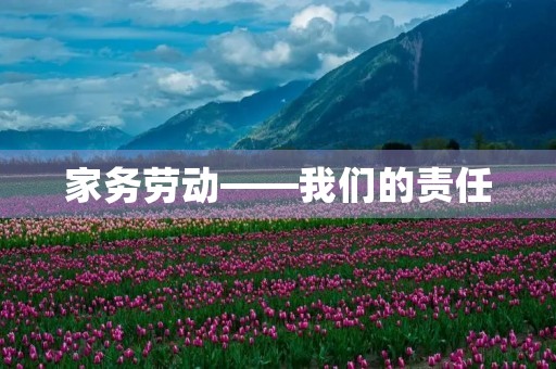 家务劳动——我们的责任