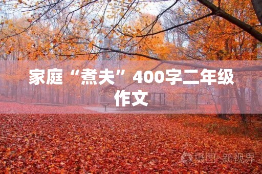 家庭“煮夫”400字二年级作文