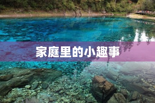 家庭里的小趣事 家庭里的小趣事