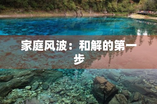 家庭风波:和解的第一步 家庭风波:和解的第一步
