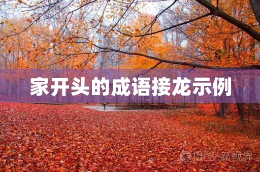 家开头的成语接龙示例