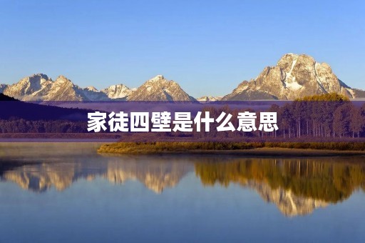家徒四壁是什么意思
