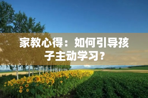 家教心得:如何引导孩子主动学习?