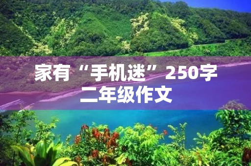 家有“手机迷”250字二年级作文