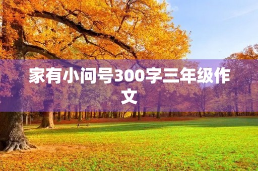 家有小问号300字三年级作文