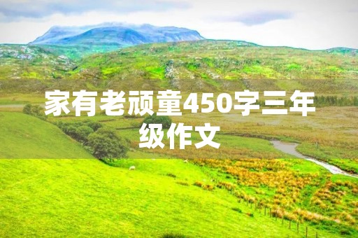 家有老顽童450字三年级作文 家有老顽童450字三年级作文