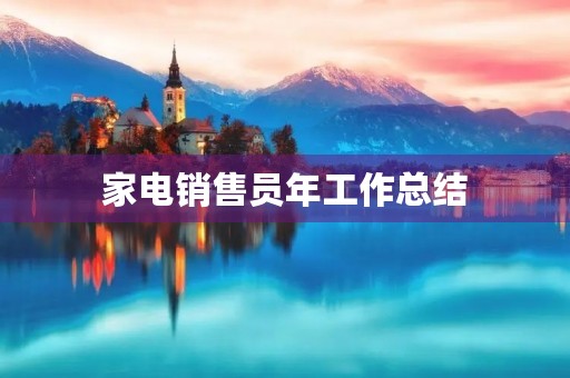家电销售员年工作总结 家电销售员年工作总结