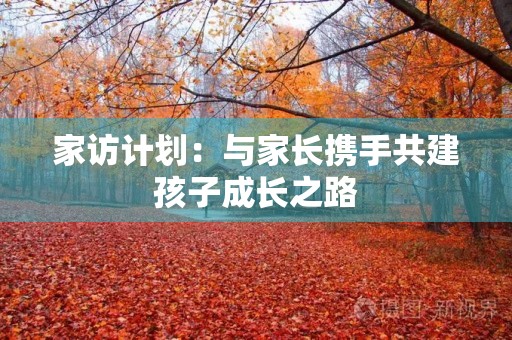 家访计划:与家长携手共建孩子成长之路 家访计划:与家长携手共建孩子成长之路