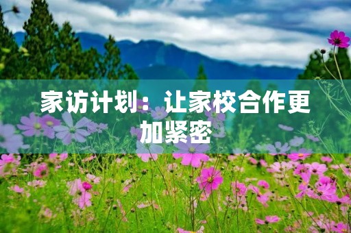 家访计划：让家校合作更加紧密