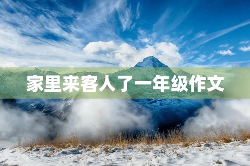 家里来客人了一年级作文 家里来客人了一年级作文
