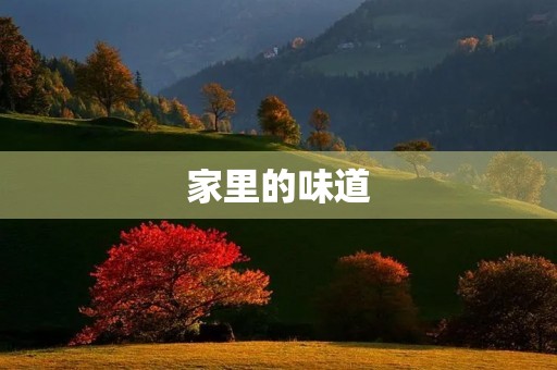 家里的味道