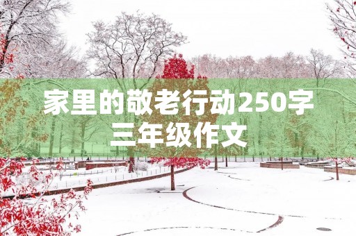 家里的敬老行动250字三年级作文 家里的敬老行动250字三年级作文