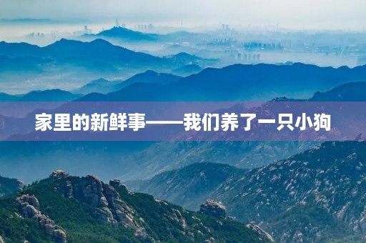 家里的新鲜事——我们养了一只小狗
