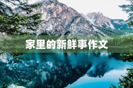 家里的新鲜事作文 家里的新鲜事作文