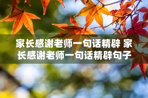 家长感谢老师一句话精辟 家长感谢老师一句话精辟句子 家长感谢老师一句话精辟 家长感谢老师一句话精辟句子