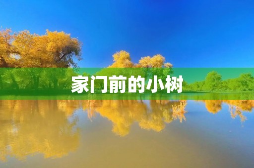 家门前的小树