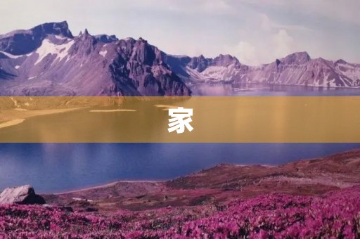 家，一个永恒的港湾