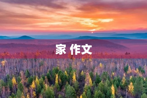 家 作文 家 作文