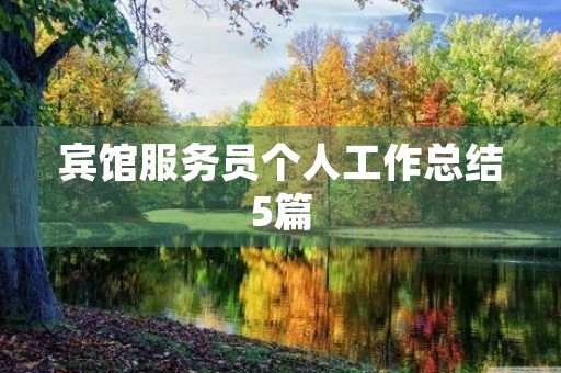 宾馆服务员个人工作总结5篇