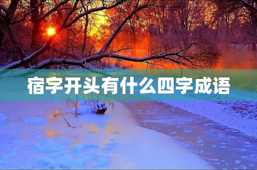 宿字开头有什么四字成语