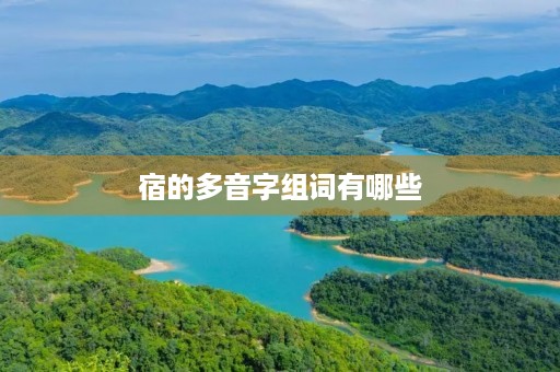 宿的多音字组词有哪些(宿的拼音)