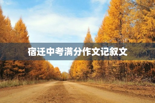 宿迁中考满分作文记叙文 宿迁中考满分作文记叙文