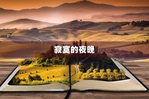 寂寞的夜晚，何处是归宿——QQ空间伤感日志