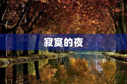 寂寞的夜，伤感的心情