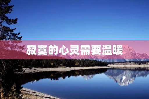 寂寞的心灵需要温暖 寂寞的心灵需要温暖