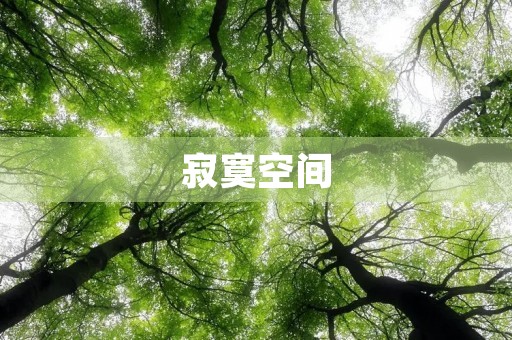 寂寞空间,伤感日志大全 寂寞空间,伤感日志大全