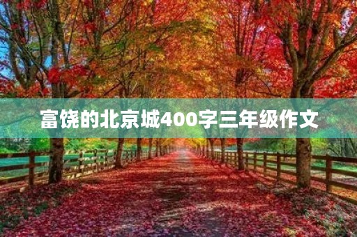 富饶的北京城400字三年级作文