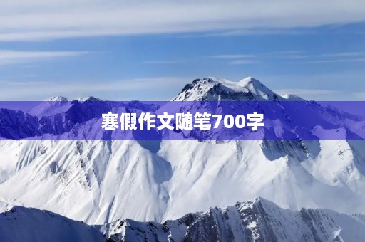 寒假作文随笔700字 寒假作文随笔700字