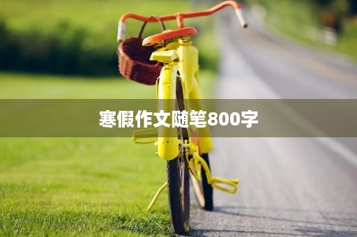 寒假作文随笔800字