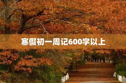 寒假初一周记600字以上 寒假初一周记600字以上