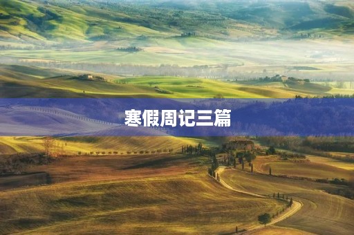 寒假周记三篇 寒假周记三篇